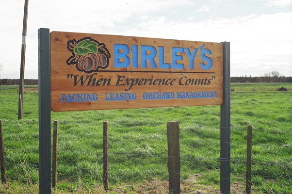 Engraved Timber Signs Birley s